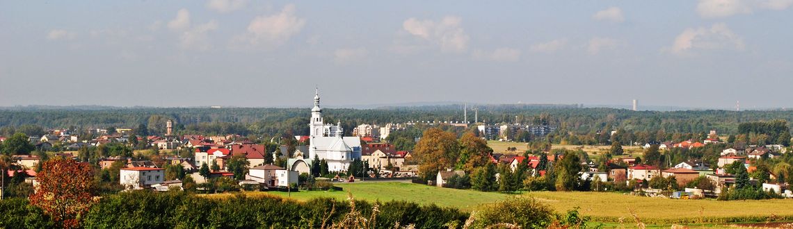 baner zdjęcie ozdobne