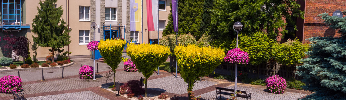 baner zdjęcie ozdobne