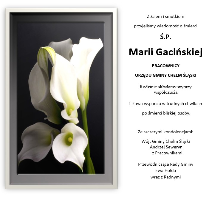 Kondolencje. Na obrazku biała kana. Opis w poście 