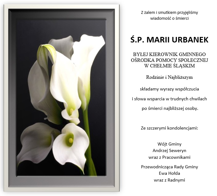 Kondolencje. Na rysunku biała kalia. Opis w poście 