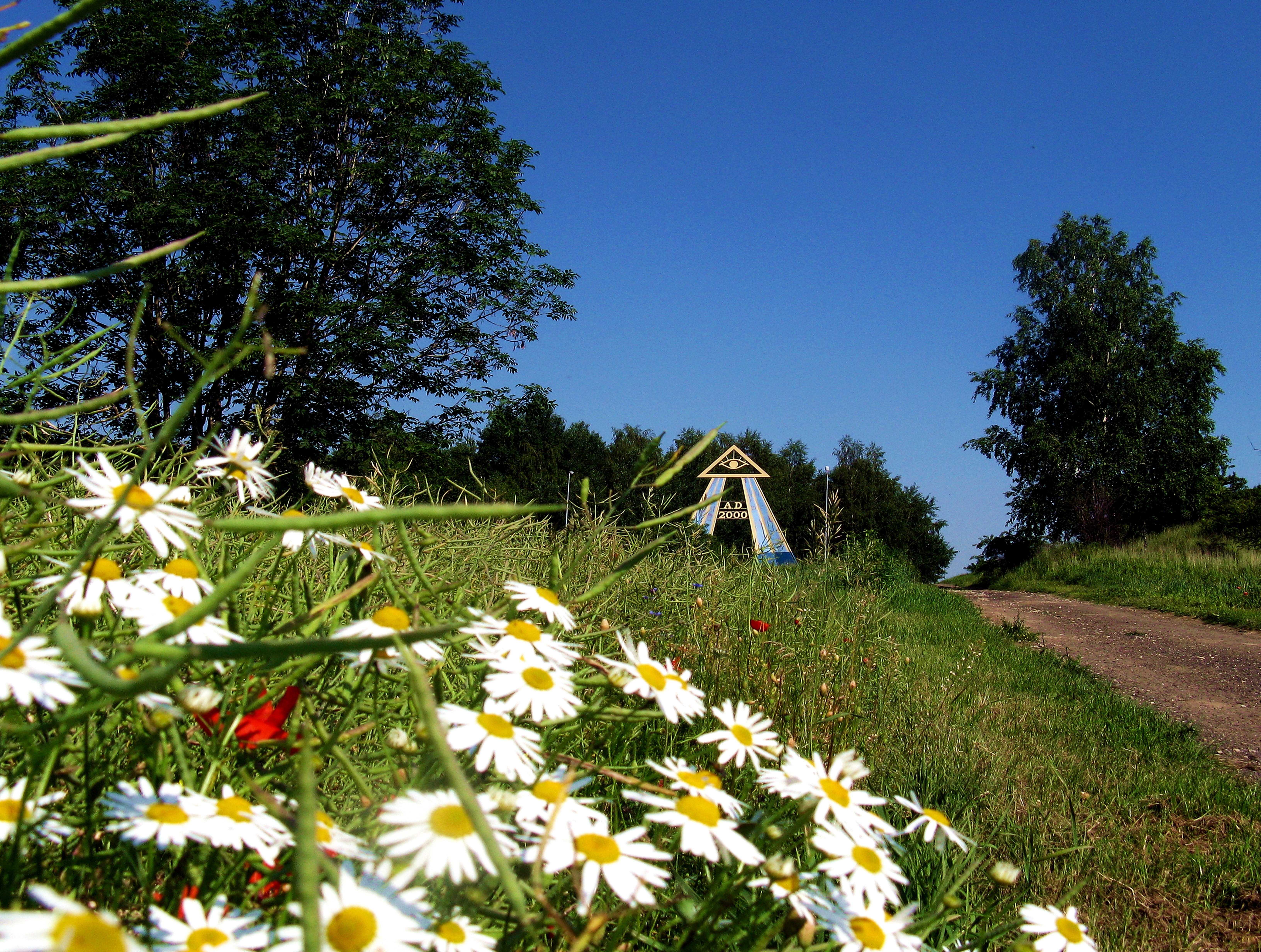 Łąka ukwiecona i Brama Opatrzności na tle drzew