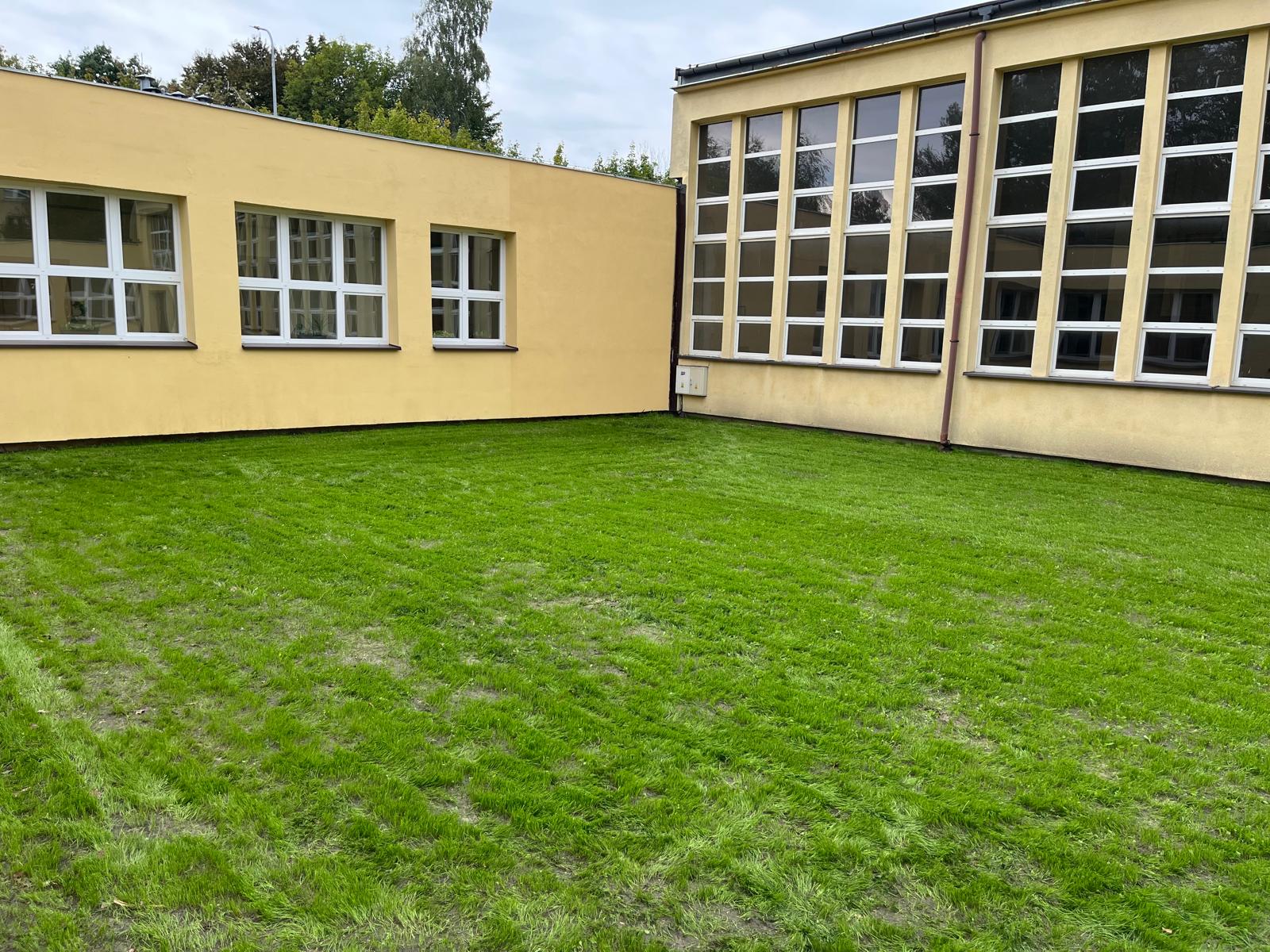 Zielona trawa pomiędzy budynkami 