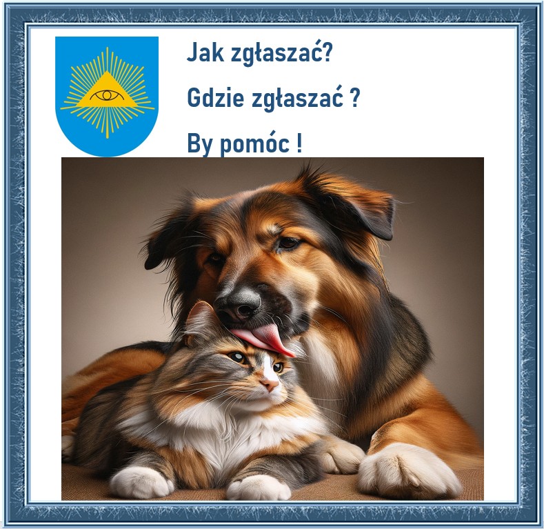 Pies z kotem leżący. Pies liże kota. Plakat informacyjny 