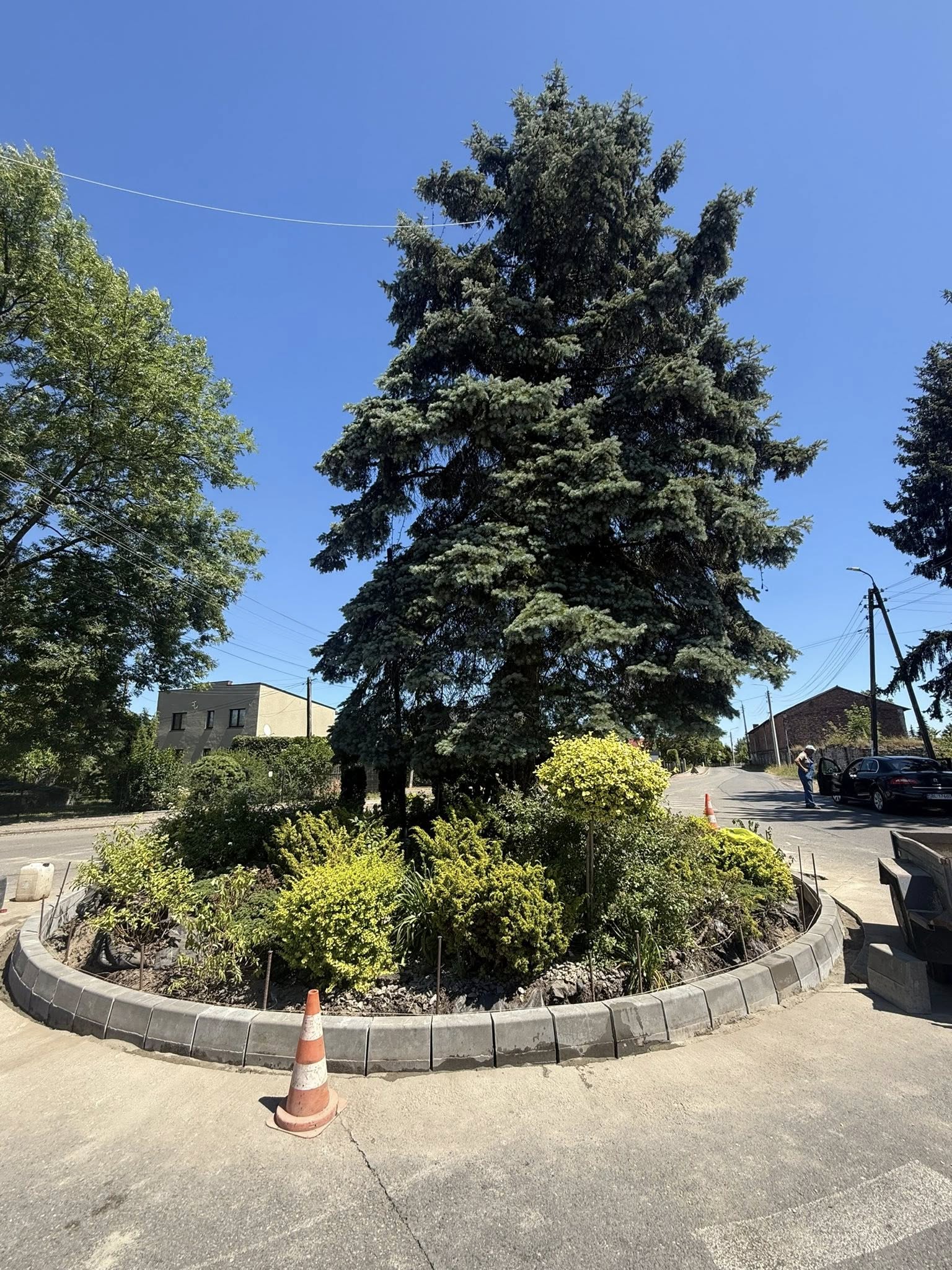 Na drodze rondo z drzewkami i wymiana krawężników na nim 