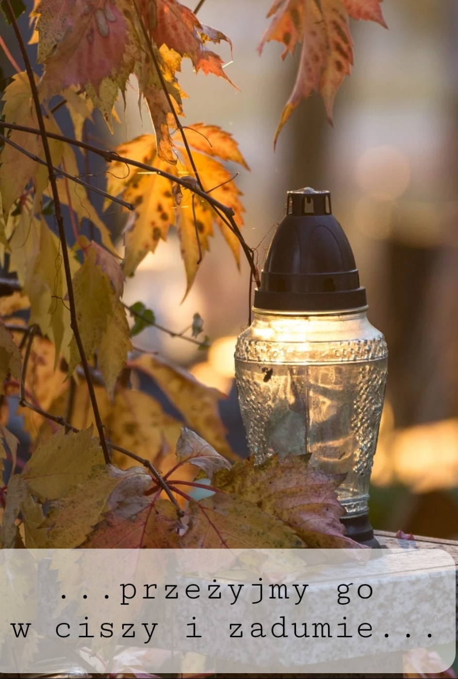 Zapalony znicz na tle drzewa o złotych liściach, stojacy na nagrobku 