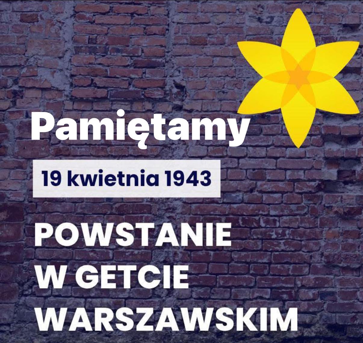 Plakat informacyjny na nim ceglasta stara ściana, żółty żonkil i napis 